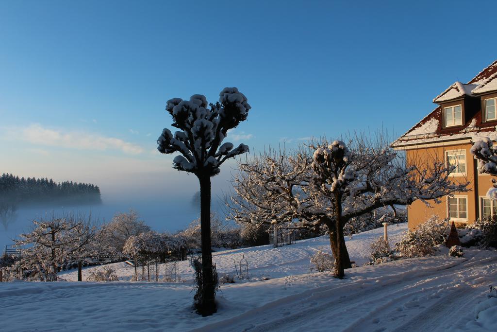 Gaestehaus Schloss Kronburg Exteriér fotografie